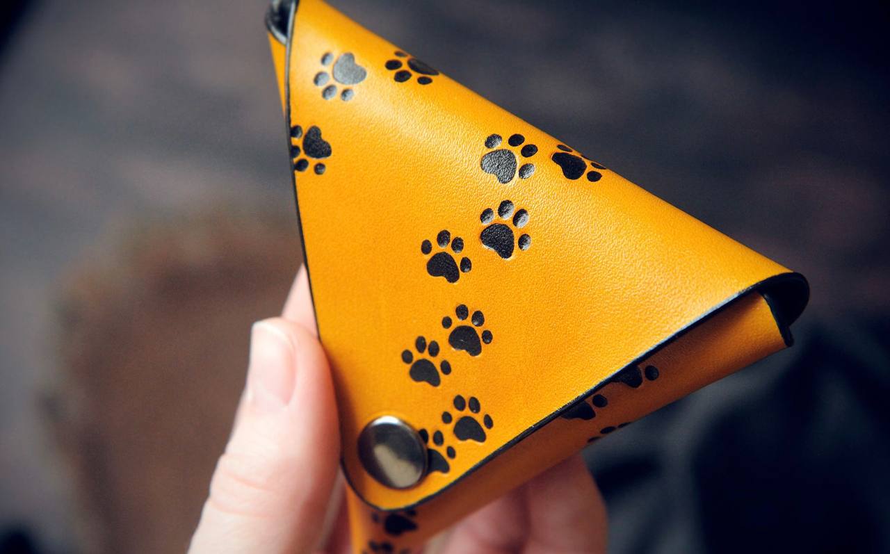 Golden Paws Coin Holder