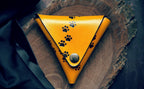 Golden Paws Coin Holder